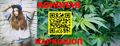шишки Гусь-Хрустальный