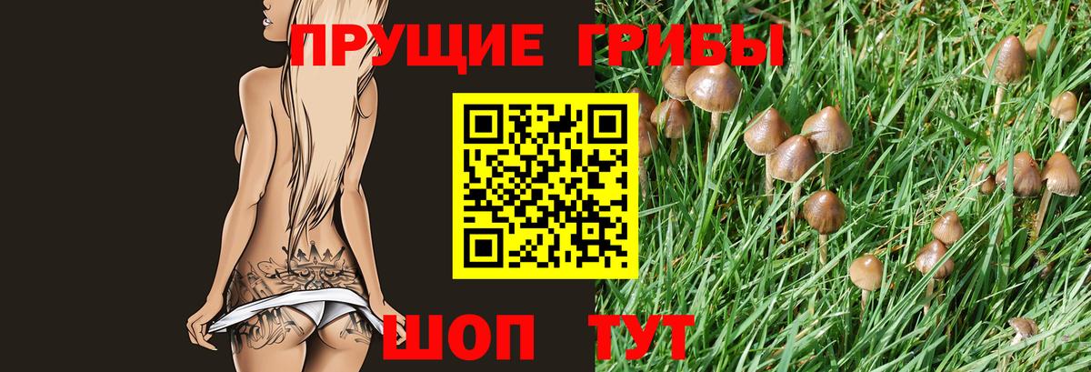 Псилоцибиновые грибы Psilocybine cubensis  Вход с VPN  Москва 