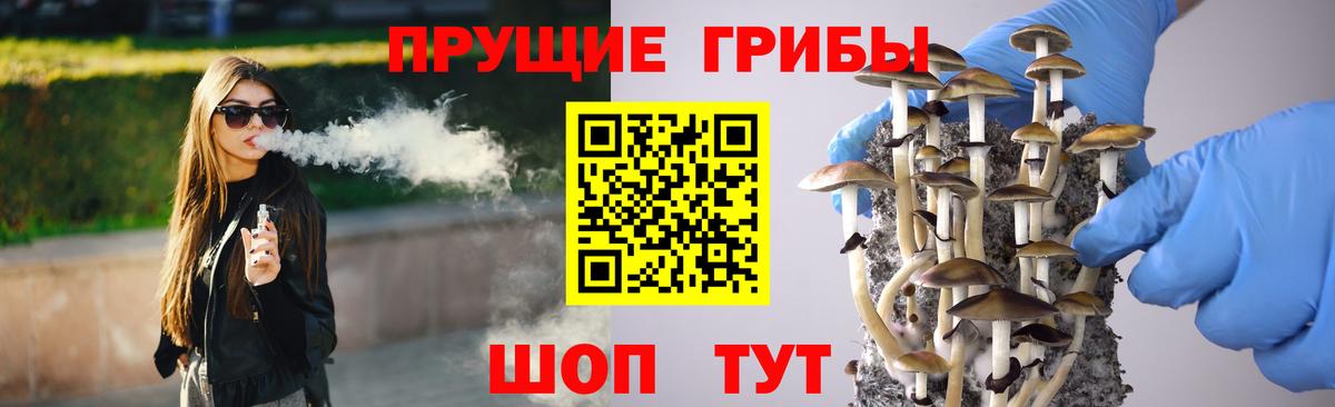 Псилоцибиновые грибы GOLDEN TEACHER Москва